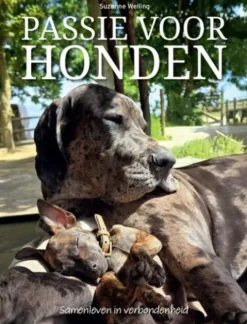 Passie voor honden
