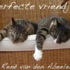 Perfecte Vriendjes