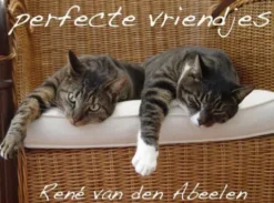 Perfecte Vriendjes