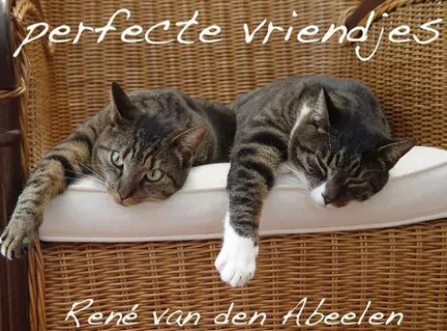 Perfecte Vriendjes
