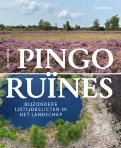 Pingoruïnes