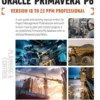 Planning and Control Using Oracle Primavera P6 Versions 18 to 23 PPM Professional