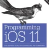 Programming iOS 11