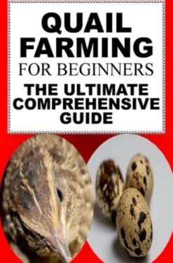 Quail Farming For Beginners