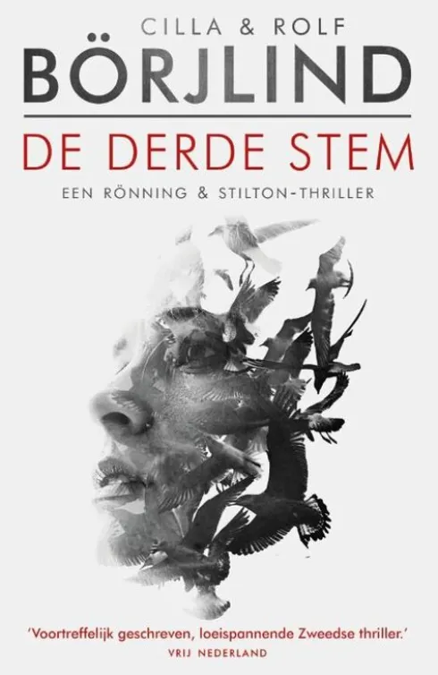 Rönning & Stilton 2 - De derde stem