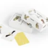 Roofvogels en Uilen memospel