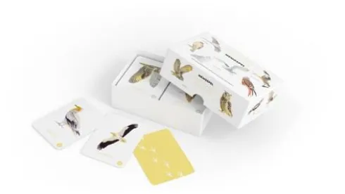 Roofvogels en Uilen memospel