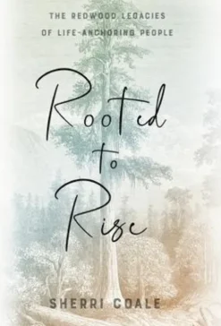 Rooted to Rise