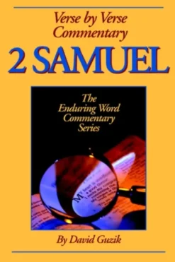 2 Samuel Commentary
