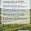 Schapendrijven met een border collie