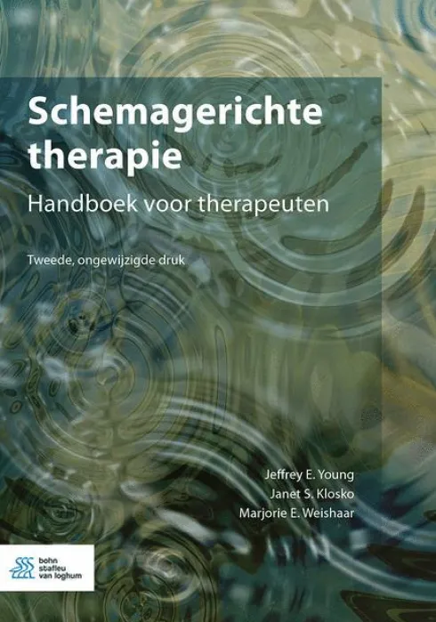 Schemagerichte therapie
