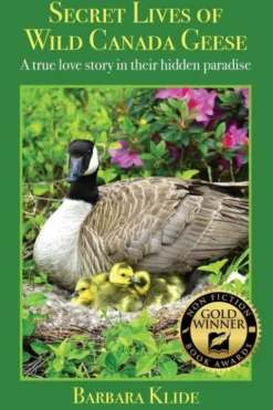Secret Lives of Wild Canada Geese