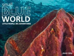 Small Blue World