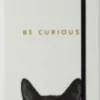 SM Jrnl Curious Cat