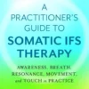 Somatic Internal Family Systems Therapy