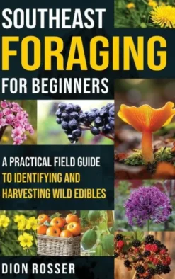 Southeast Foraging for Beginners