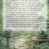 Starten met bonsai-teelt