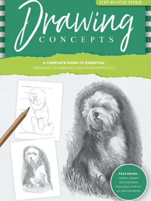 Step-by-Step Studio: Drawing Concepts