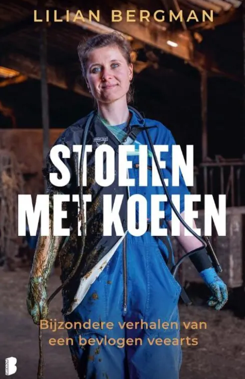 Stoeien met koeien