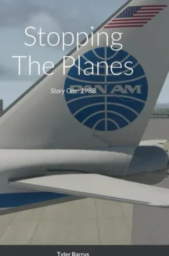 Stopping The Planes