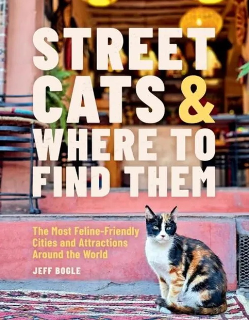 Street Cats & Where to Find Them