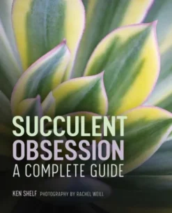 Succulent Obsession: A Complete Guide