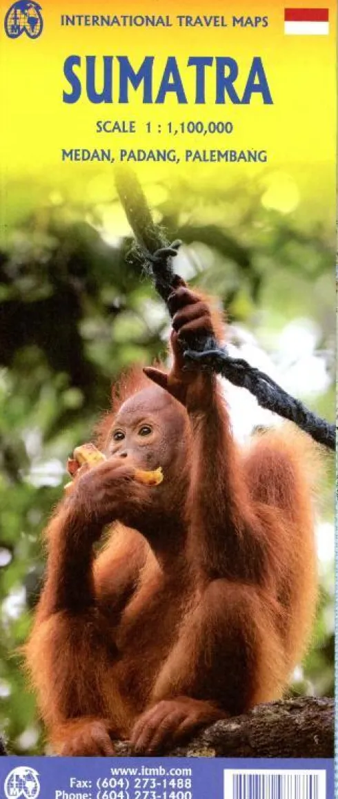 Sumatra