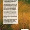 Systeemdenken
