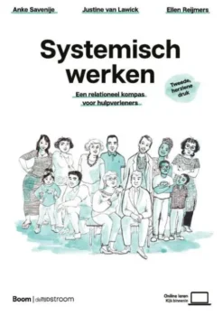 Systemisch werken