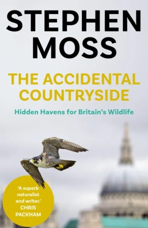 The Accidental Countryside