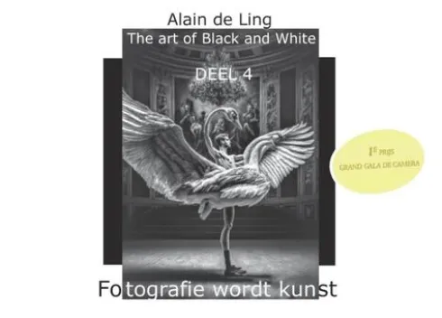 The Art of Black and White