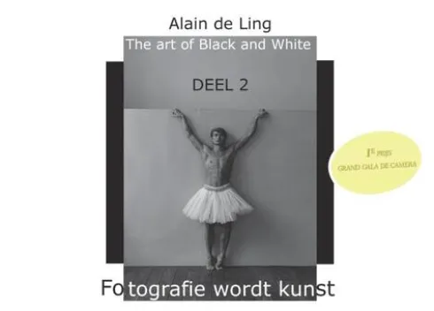 The Art of Black and White