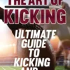 The Art Of Kicking