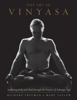 The Art of Vinyasa