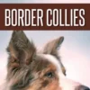 The Complete Guide to Border Collies