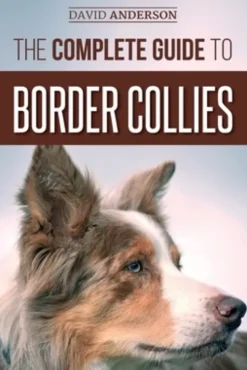 The Complete Guide to Border Collies