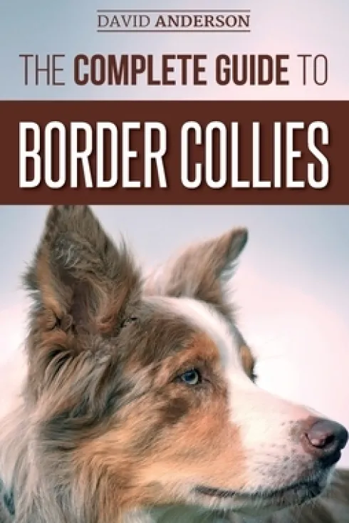 The Complete Guide to Border Collies