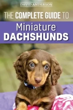 The Complete Guide to Miniature Dachshunds