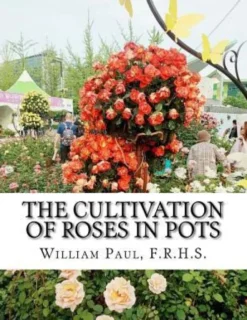 The Cultivation of Roses in Pots: Or; Growing Roses in Containers