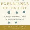 The Experience of Insight