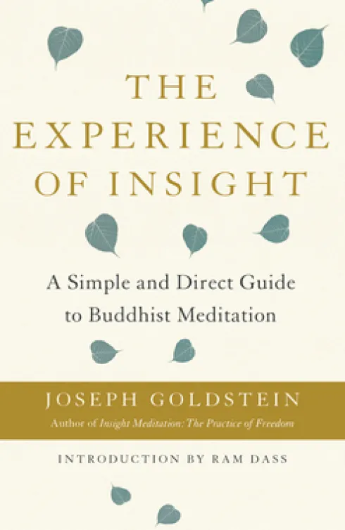 The Experience of Insight
