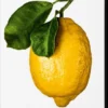The Gourmand’s Lemon