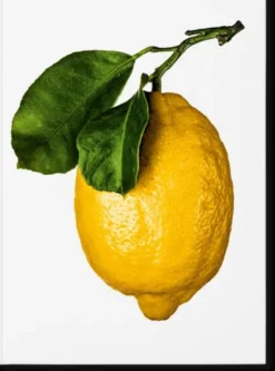The Gourmand’s Lemon