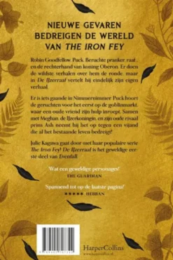 The Iron Fey: Evenfall 1 - De IJzerraaf