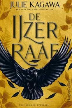 The Iron Fey: Evenfall 1 - De IJzerraaf