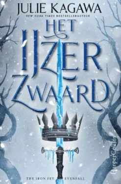 The Iron Fey: Evenfall 2 - Het IJzerzwaard