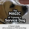 The Magic of Training a Service Dog