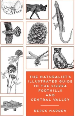 The Naturalist's Illustrated Guide to the Sierra Foothills and Central Valley