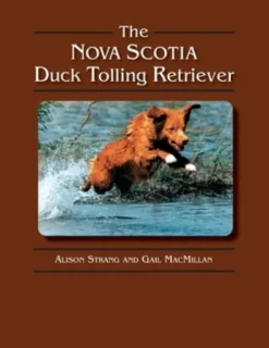 The Nova Scotia Duck Tolling Retriever