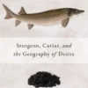 The Philosopher Fish